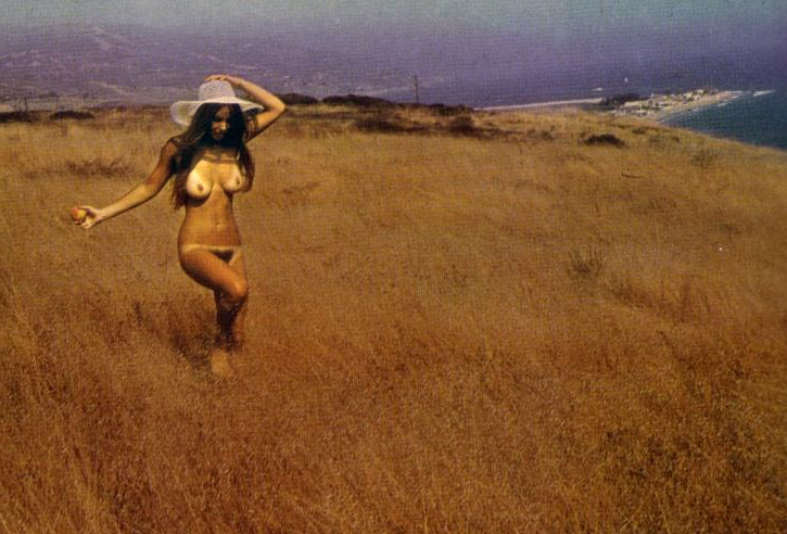 Suntan Light: Mediterranean Beach & Naturism - photograph 77